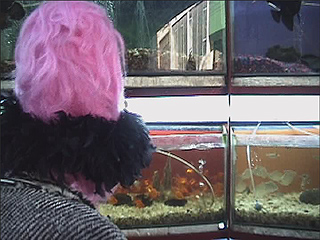 PATTY EN VENECIA